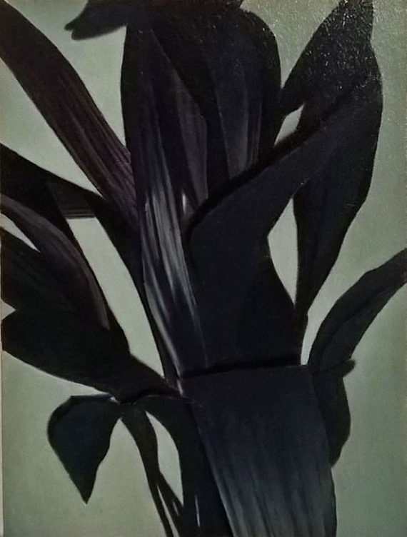 Christopher Hanlon 'Aspidistra' oil on linen stretched over board, 40×30cm 2018