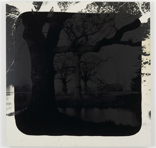 David Gates 'Bark (left)' silver gelatin and bitumen on cardboard, 61×60.5cm/24×23.6in (unique) 2013, photo by Andy Keate