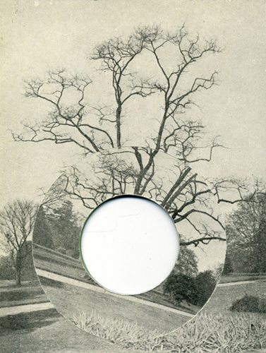 David Gates 'Tree' collage, paper, card, 15×11cm / 5.9×4.3in 2011, at domobaal gallery, London