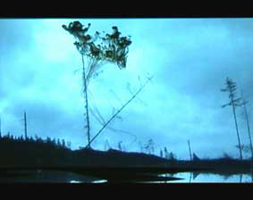 Ailbhe Ní Bhriain 'Immergence' video, 14:03 min, colour, silent, 2004