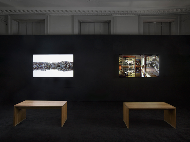 Ailbhe Ní Bhriain 'Reports to an Academy' (2015) installation view at domobaal, photograph by Andy Keate