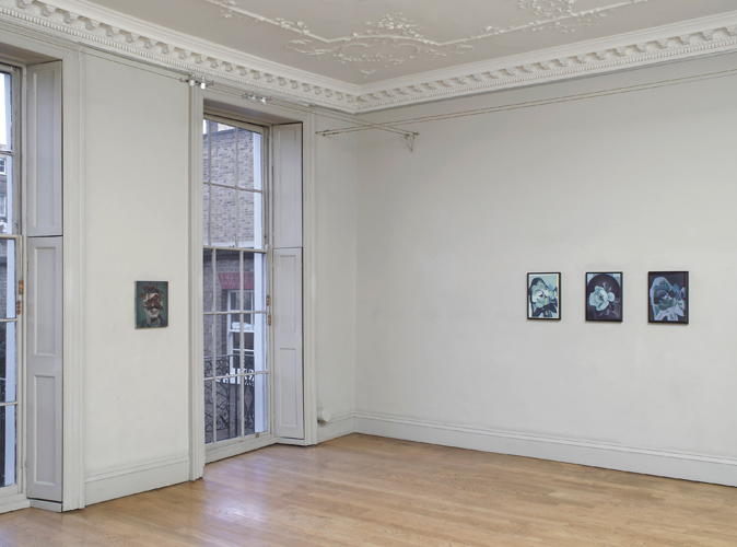 Christopher Hanlon: Chamber, installation view, photography by Andy Keate 2014