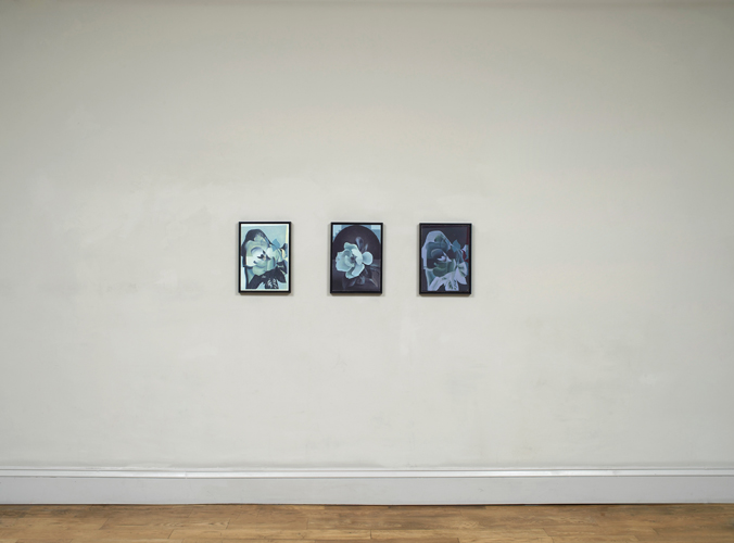 Christopher Hanlon 'Magnolia Blossom 1,2,3' (triptych), oil on linen stretched over board, each: 39.8×28.6cm, frame: 42.5×31.5cm 2014, photography by Andy Keate