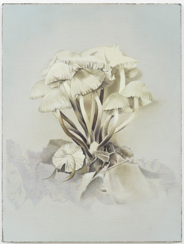 Christopher Hanlon 'Coprinus Disseminatus' 47×35.5cm/18.6×14in, oil on linen stretched over board, 2012, photo by Andy Keate, courtesy domobaal