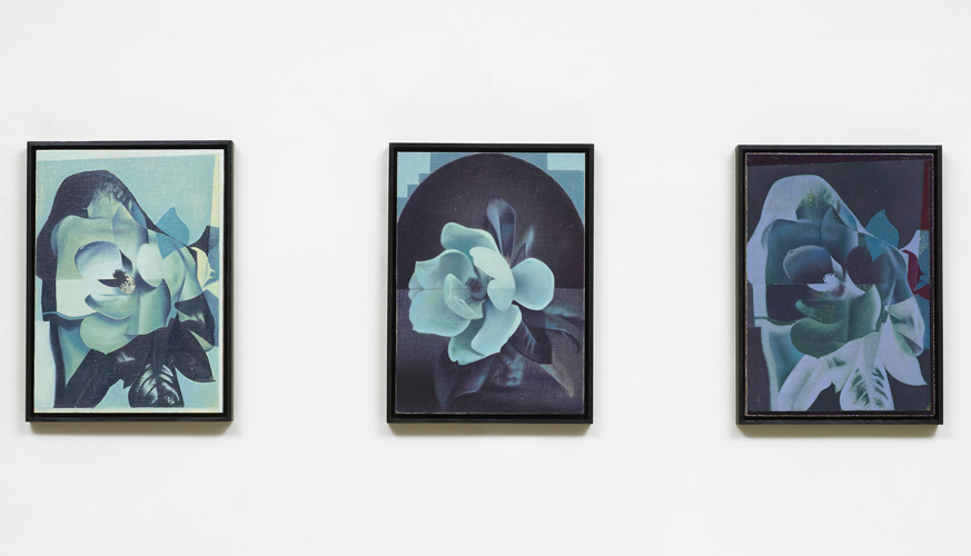 Christopher Hanlon 'Magnolia Blossom 1,2,3' (triptych), oil on linen stretched over board, each: 39.8×28.6cm, frame: 42.5×31.5cm 2014, photography by Andy Keate