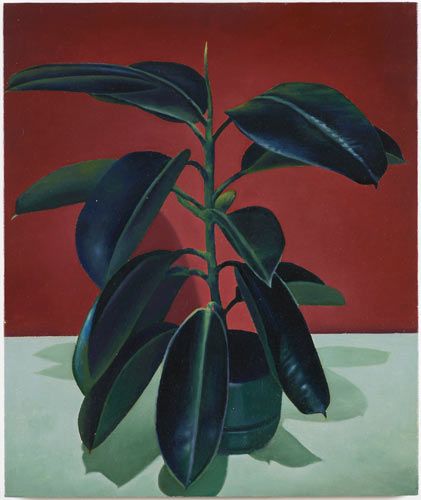 Christopher Hanlon 'Rubber Plant' oil on linen stretched over board, 60×50.3cm/23.6×19.8in 2014