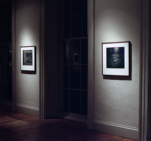 Daniel Gustav Cramer, Installation view of 'Woodland' exhibition, 2004