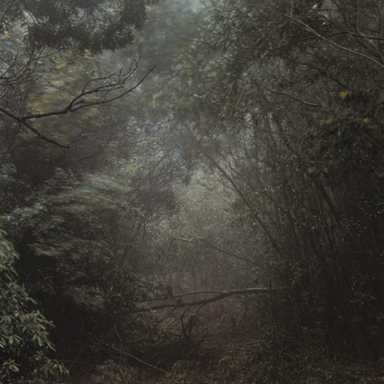 Daniel Gustav Cramer 'Untitled (Woodland #53)' 2007