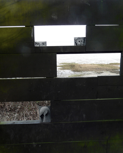 David Gates 'Bird hide' installation of paper collages, Stour Valley, Essex, 2014