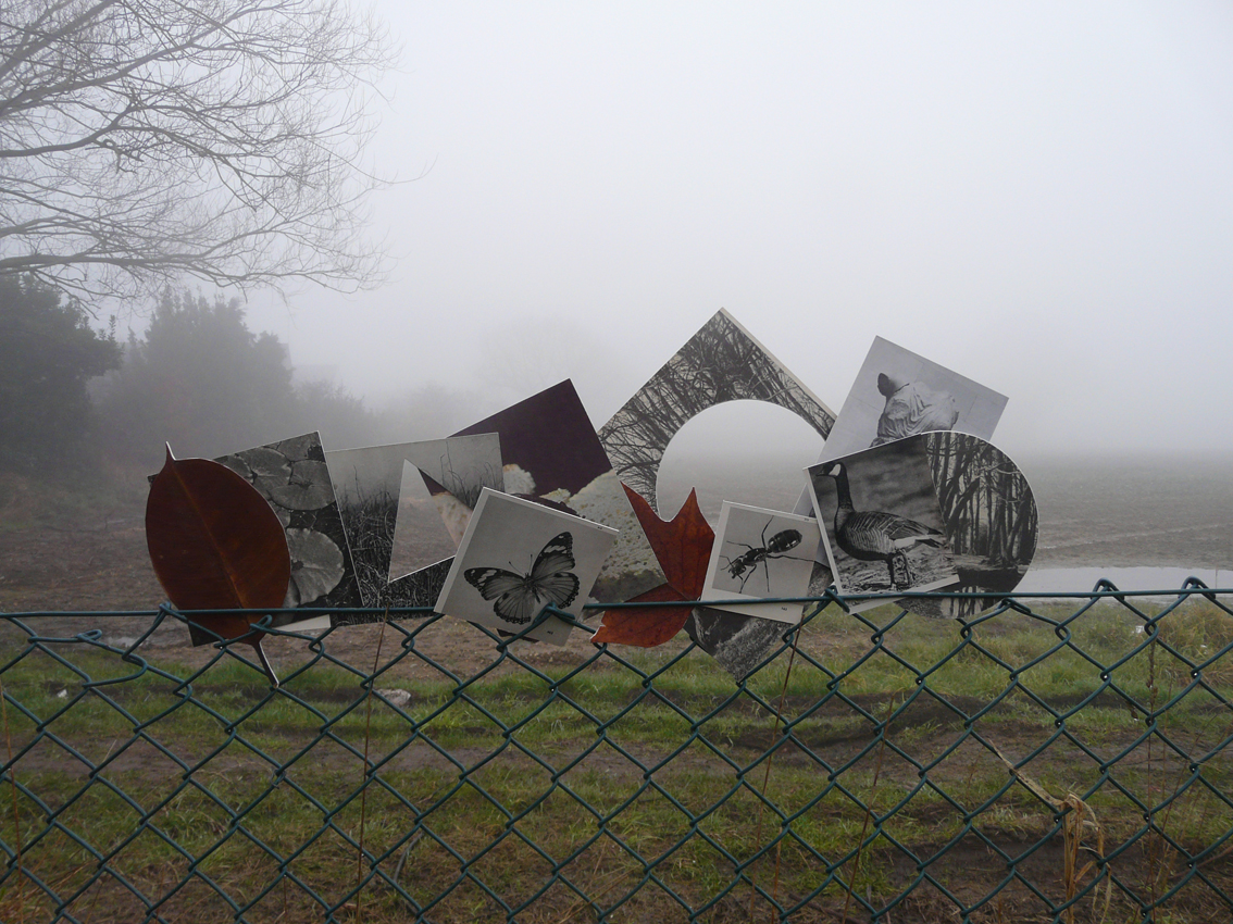 David Gates 'The Rural College' rural installation shot, Essex, 2013