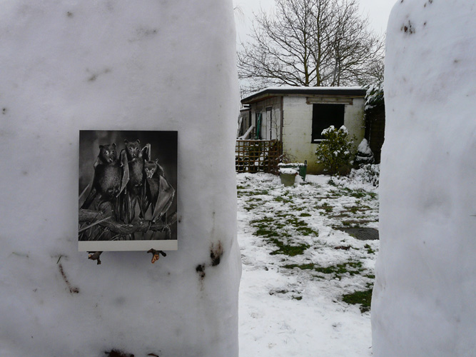 David Gates 'Snow Hut' (detail) guest curator: Paul Feigelfeld, snow, ice, found image, 100×100×100cm/39.4×39.4×39.4in (approx) January 2013