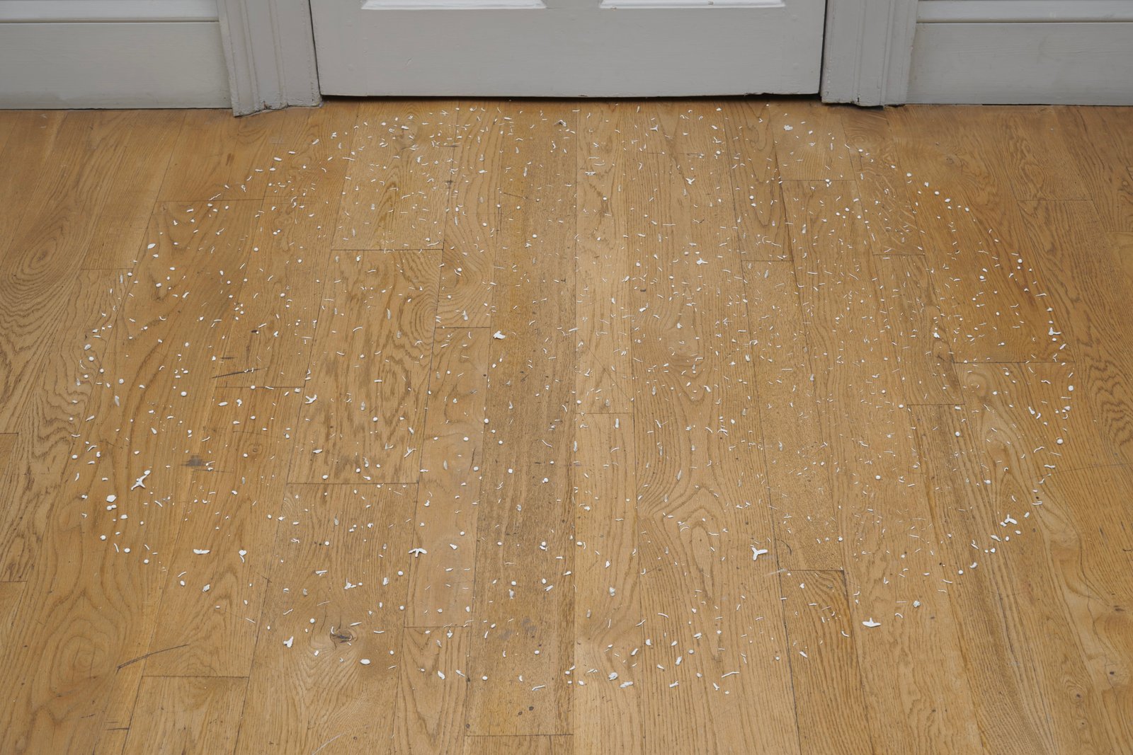 Dermot O'Brien 'Dust' air–dried clay, 2006/2025, 145cm diameter, first exhibited in ‘Q’ Curatorspace, Shoreditch, London, 2006, installation photography by Andy Keate