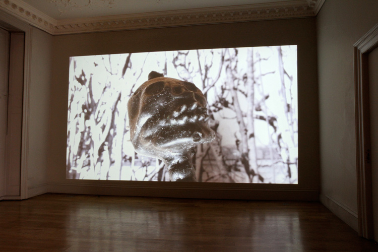 John Strutton 'Opus Dopus' (still) HDTV video, colour, sound, 16:06min, 2012, installation view at domobaal