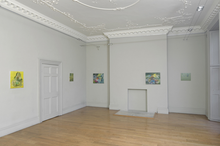 Lara Viana, installation view, photo by Andy Keate