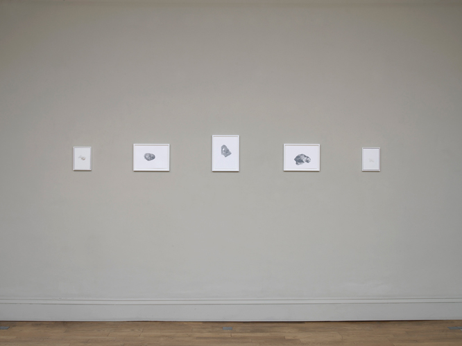 Lee Edwards 'Fibre of Being' installation view, photo by Andy Keate