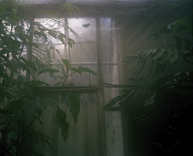 Siân Pile 'Glasshouse I' 2006/7