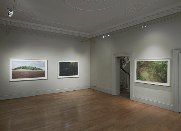 Stuart Brisley 'Shadow' (left) 'Pit' (centre) 'Sink' (right) installation view by Andy Keate, at domobaal in London, November 2013